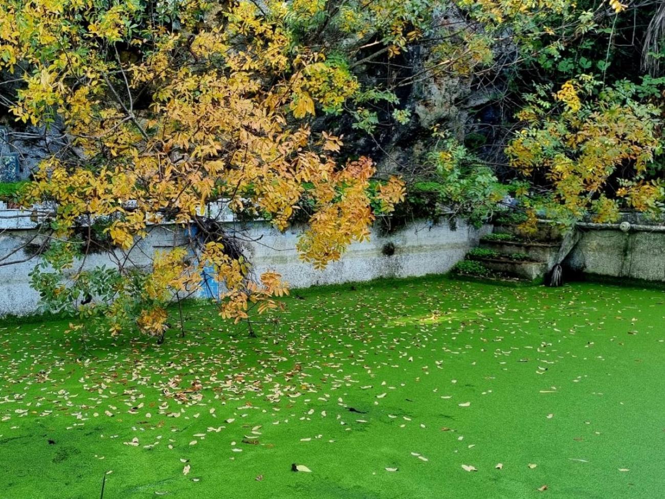 Centro De Naturaleza Canada Verde "El Parque De Naturaleza Con Mas Experiencias De Andalucia"" Hornachuelos Buitenkant foto