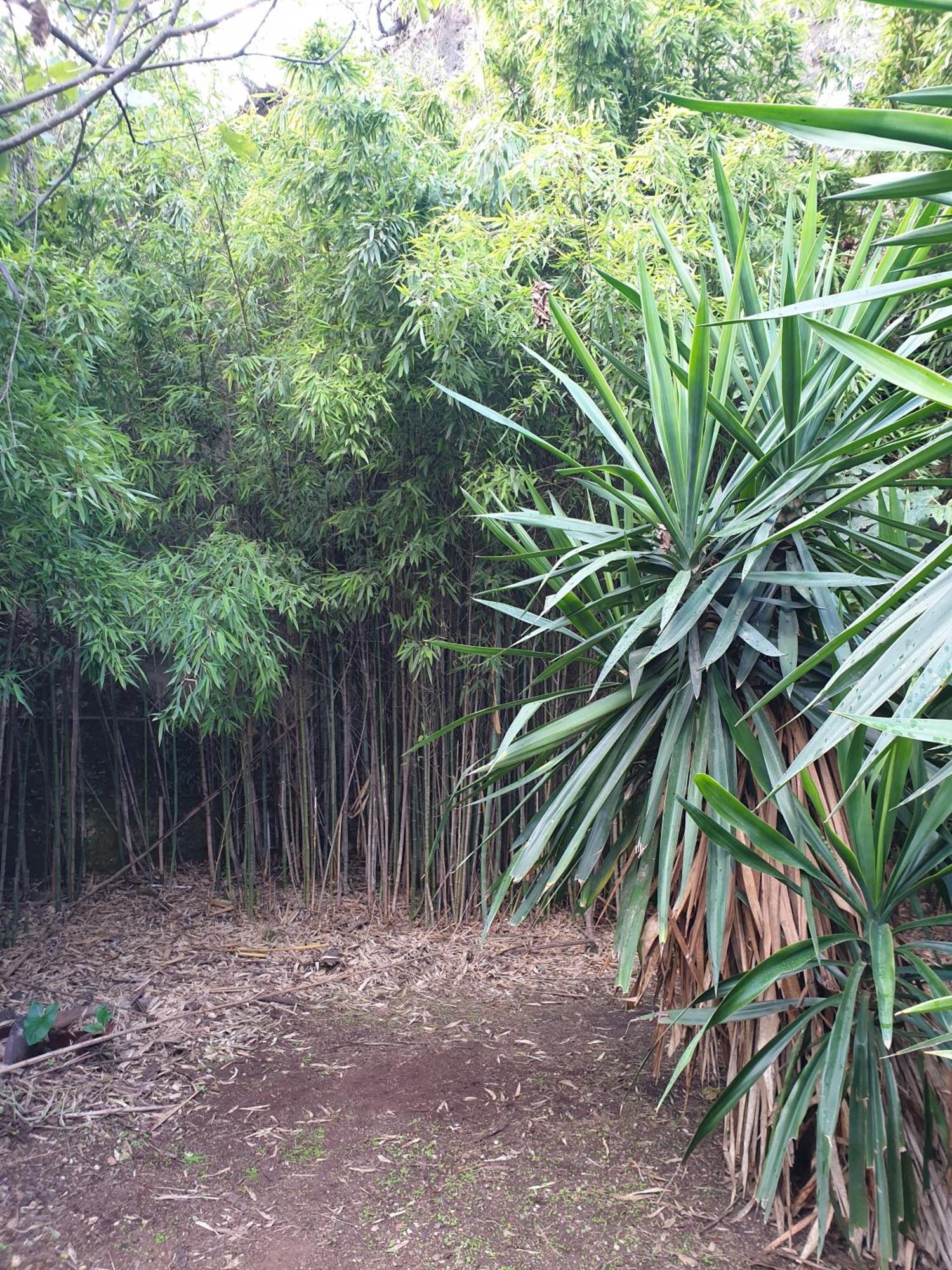 Centro De Naturaleza Canada Verde "El Parque De Naturaleza Con Mas Experiencias De Andalucia"" Hornachuelos Buitenkant foto