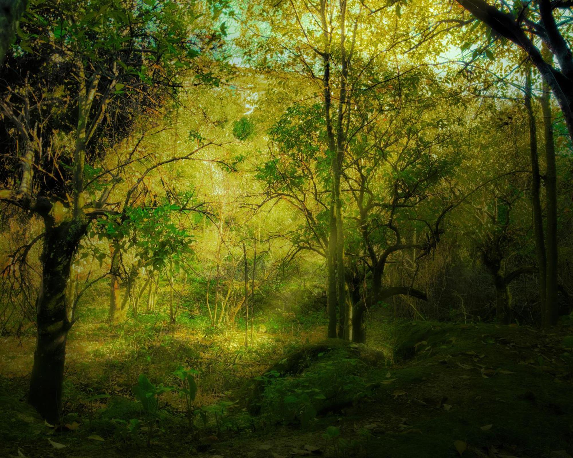 Centro De Naturaleza Canada Verde "El Parque De Naturaleza Con Mas Experiencias De Andalucia"" Hornachuelos Buitenkant foto