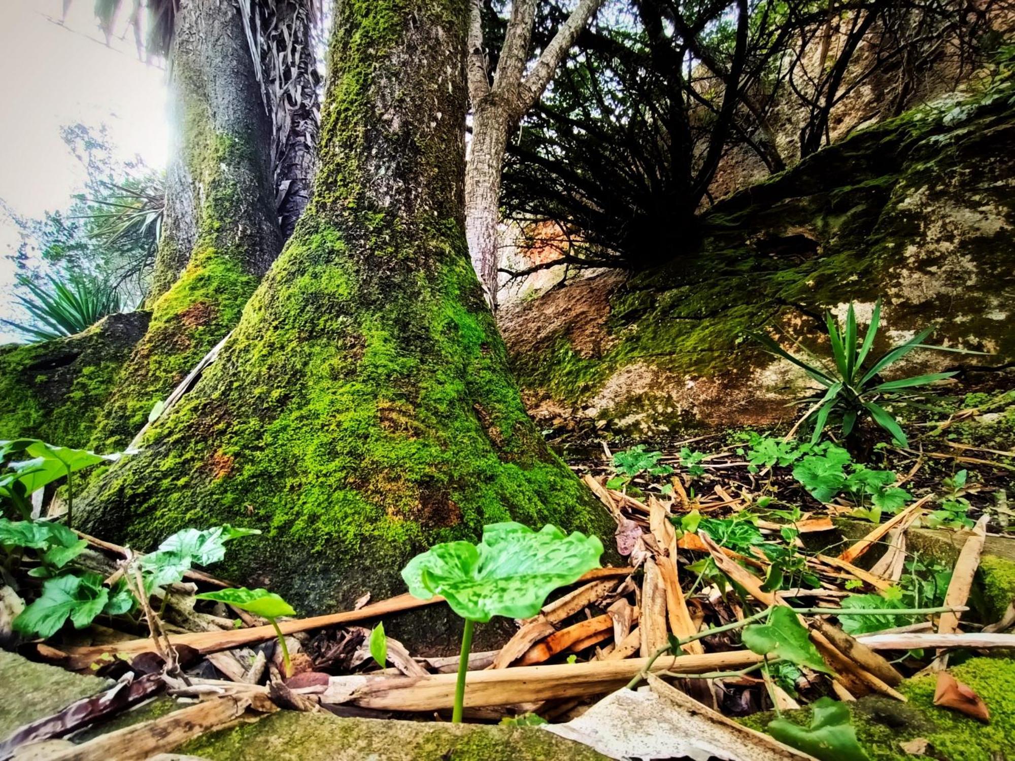 Centro De Naturaleza Canada Verde "El Parque De Naturaleza Con Mas Experiencias De Andalucia"" Hornachuelos Buitenkant foto