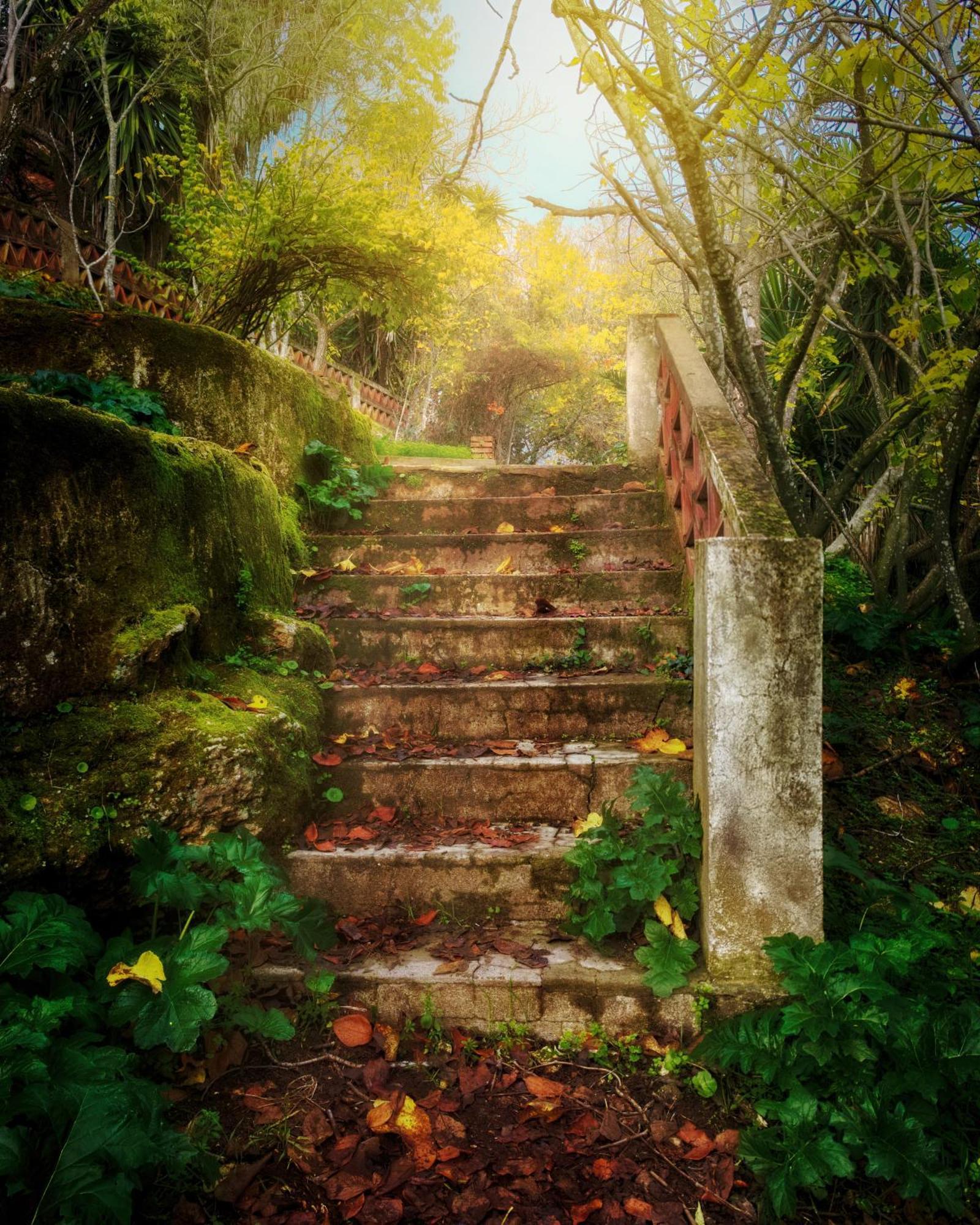 Centro De Naturaleza Canada Verde "El Parque De Naturaleza Con Mas Experiencias De Andalucia"" Hornachuelos Buitenkant foto