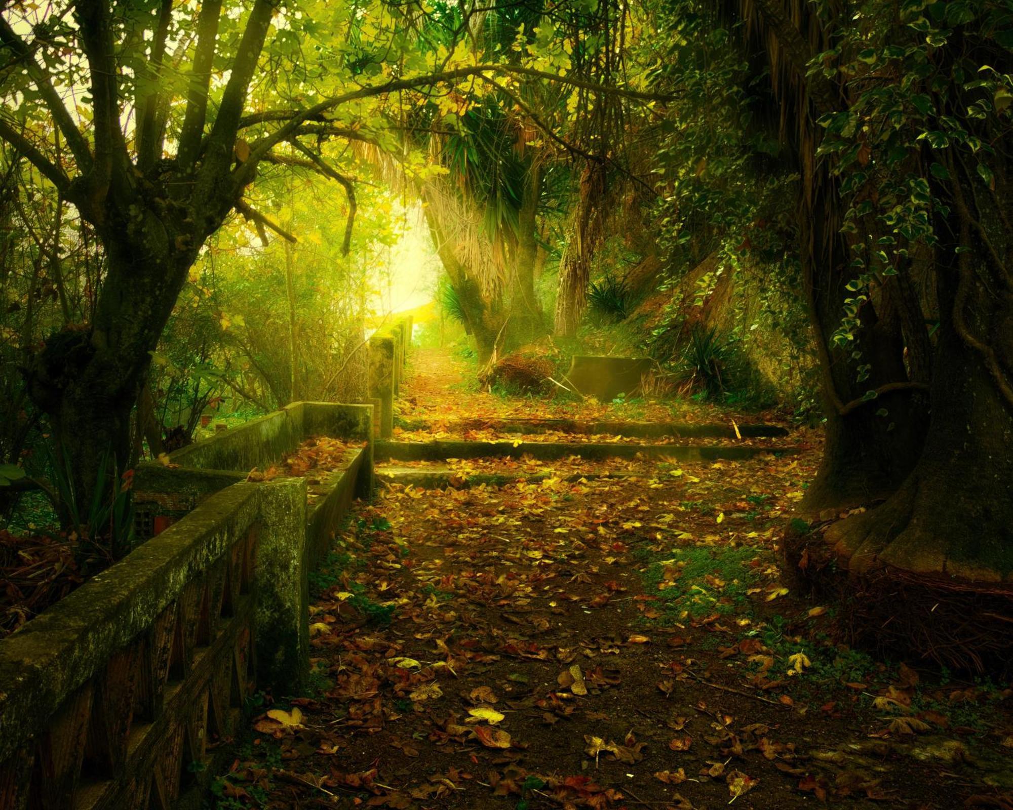 Centro De Naturaleza Canada Verde "El Parque De Naturaleza Con Mas Experiencias De Andalucia"" Hornachuelos Buitenkant foto