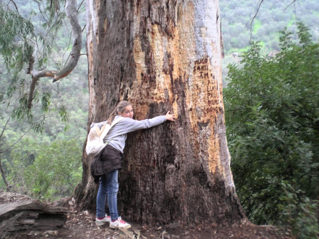 Centro De Naturaleza Canada Verde "El Parque De Naturaleza Con Mas Experiencias De Andalucia"" Hornachuelos Buitenkant foto