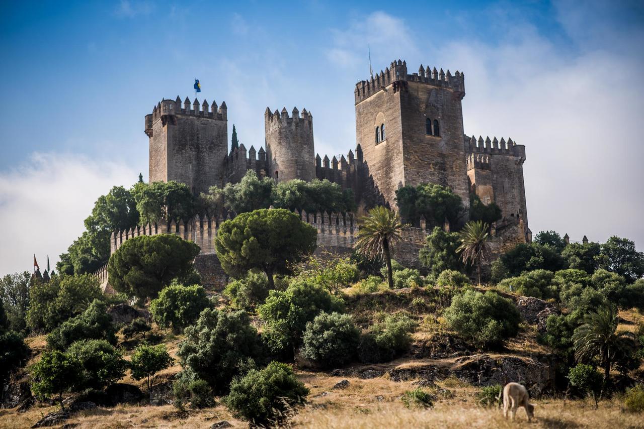 Centro De Naturaleza Canada Verde "El Parque De Naturaleza Con Mas Experiencias De Andalucia"" Hornachuelos Buitenkant foto
