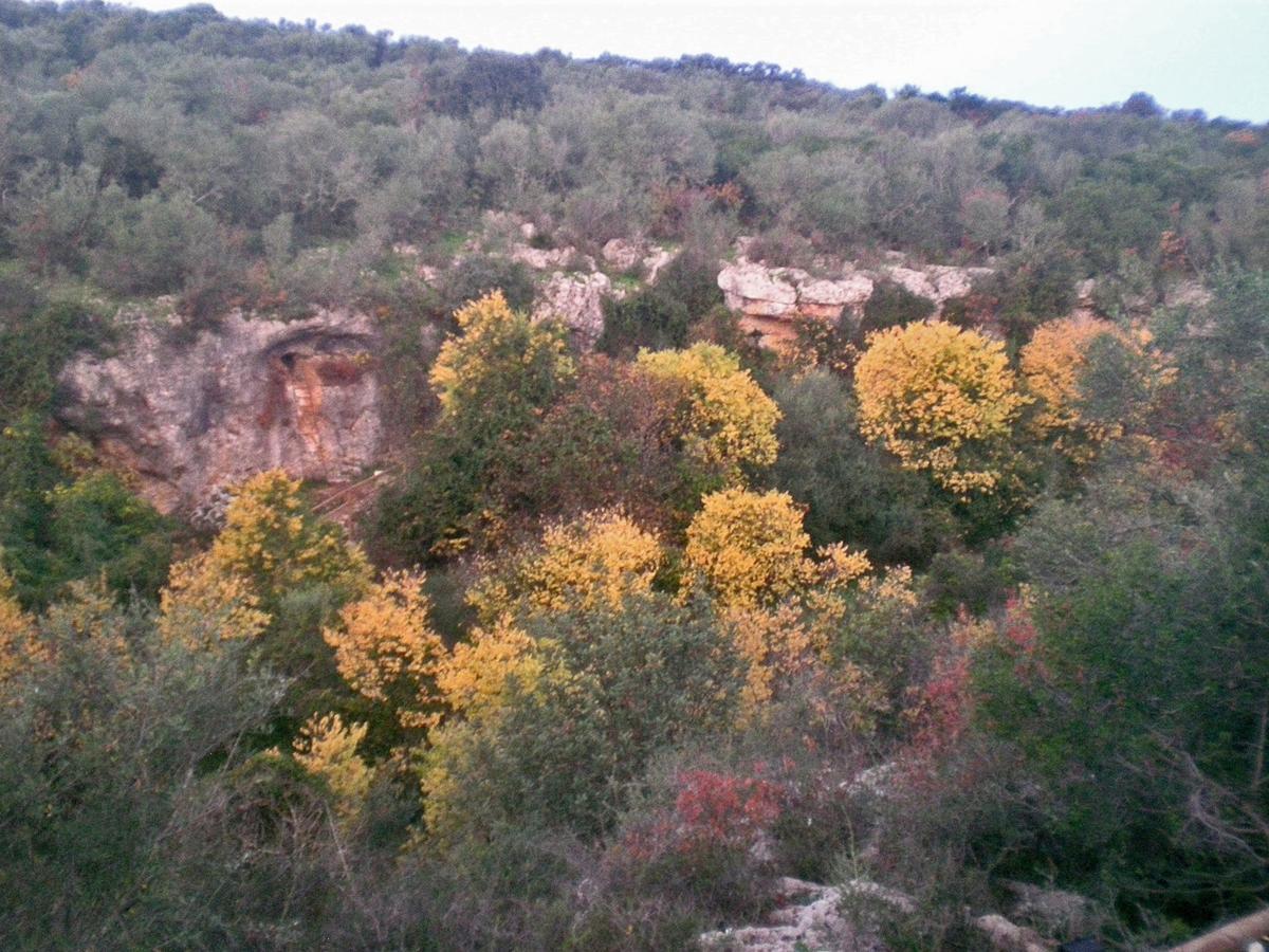Centro De Naturaleza Canada Verde "El Parque De Naturaleza Con Mas Experiencias De Andalucia"" Hornachuelos Buitenkant foto