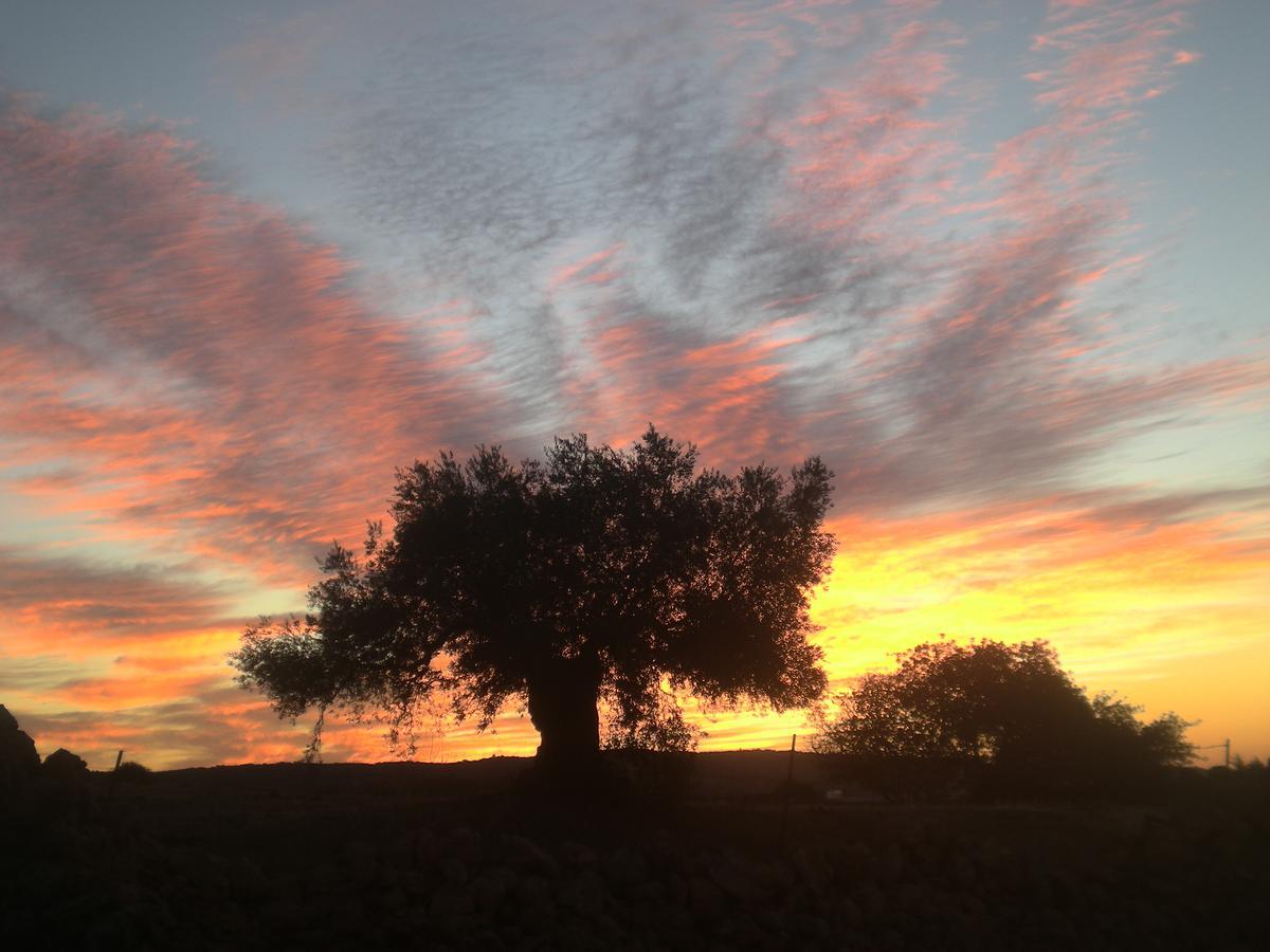 Centro De Naturaleza Canada Verde "El Parque De Naturaleza Con Mas Experiencias De Andalucia"" Hornachuelos Buitenkant foto