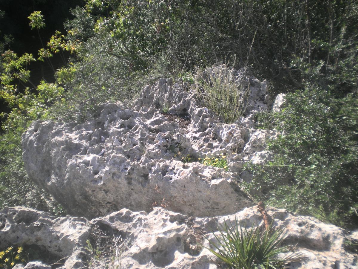 Centro De Naturaleza Canada Verde "El Parque De Naturaleza Con Mas Experiencias De Andalucia"" Hornachuelos Buitenkant foto