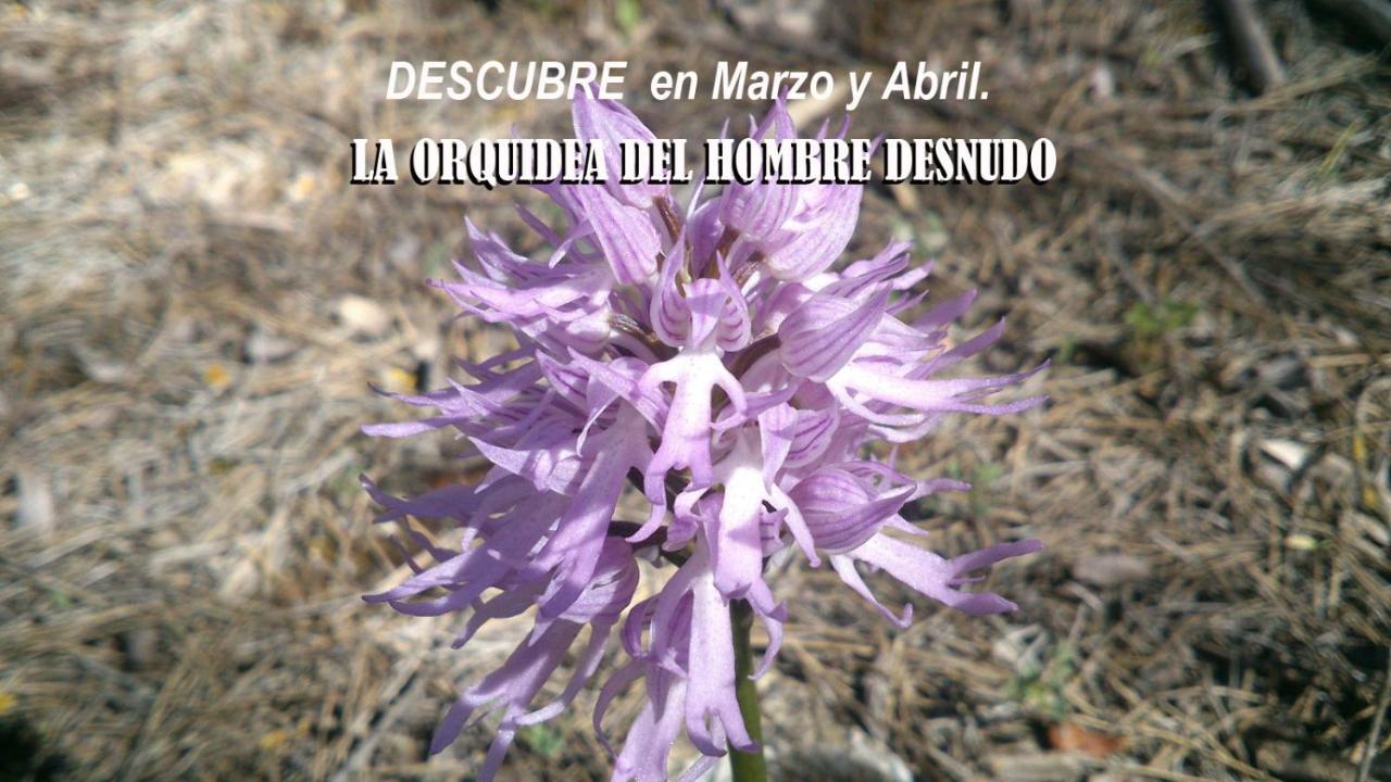 Centro De Naturaleza Canada Verde "El Parque De Naturaleza Con Mas Experiencias De Andalucia"" Hornachuelos Buitenkant foto